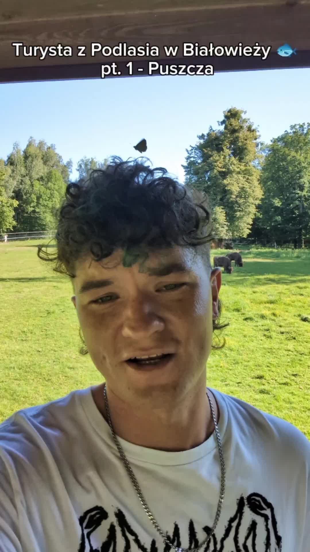 @Kolorek