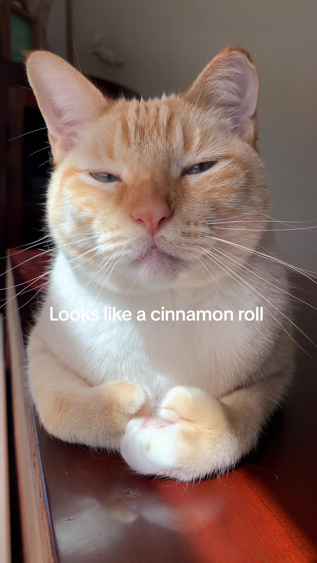 @mangosnickerskiwi