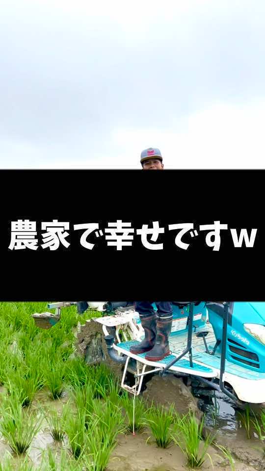 @Paddy Boy やーまん 🌾🫶
