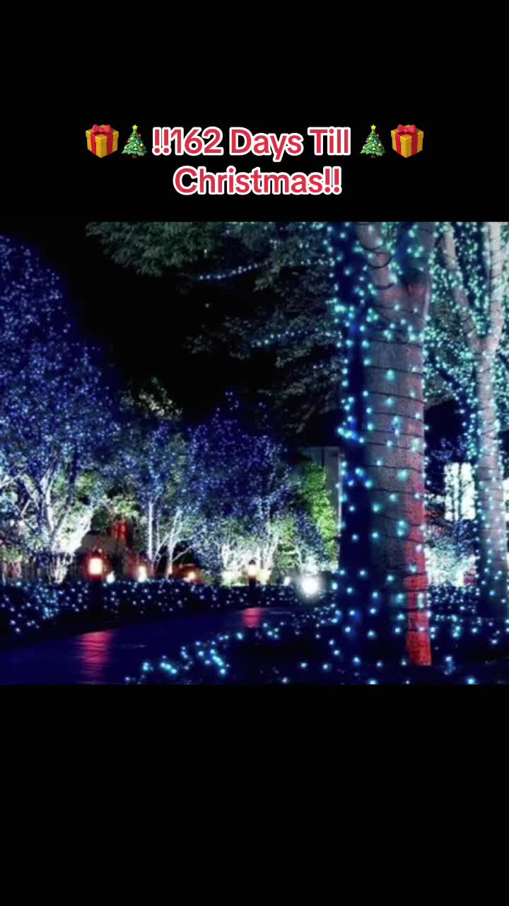 @christmas.tree65