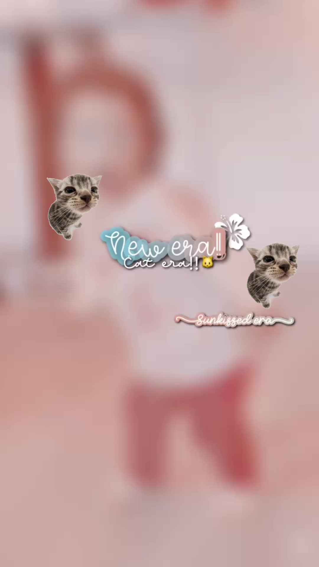 @💗⌗ 𝗦𝘁𝗮𝗿! ★⌇𝟮,𝟰K!! 🤍