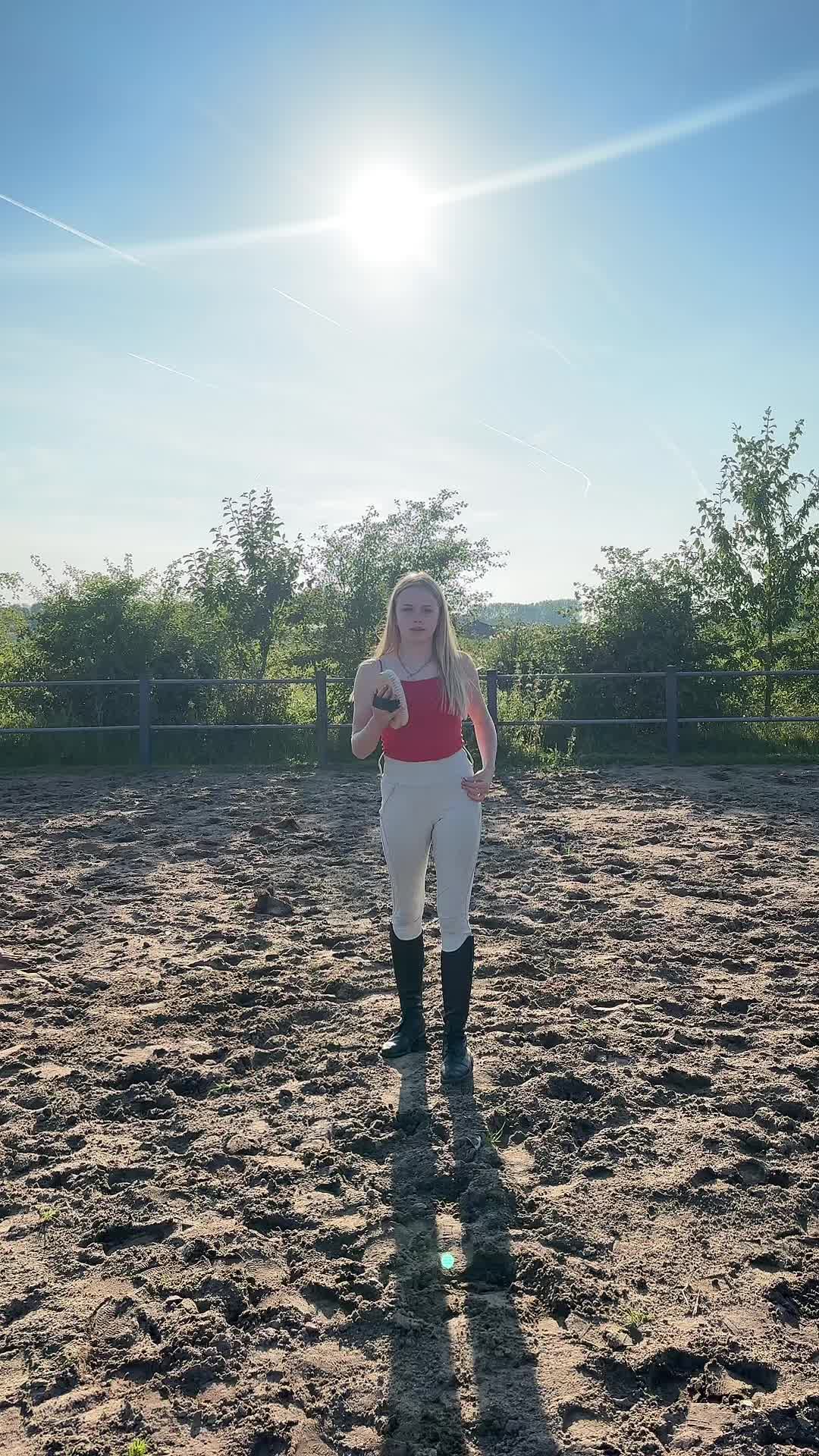 @manegeprinsenbankhoeve