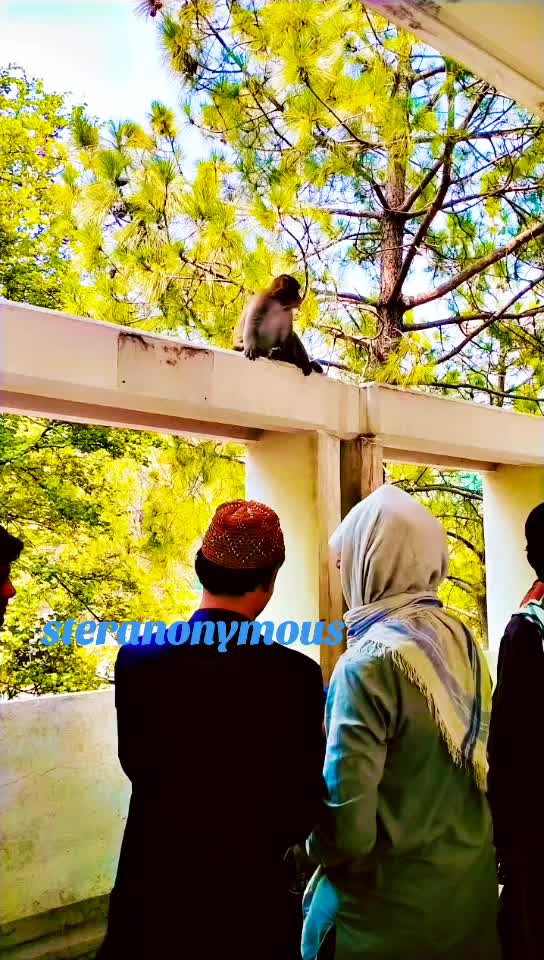 @Azanumrani2