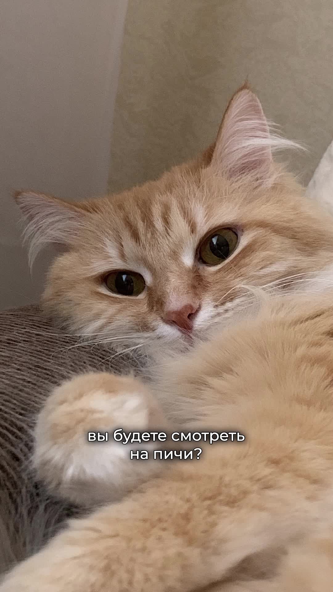 @полиночка