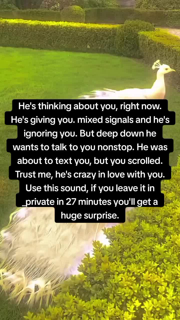 @wisdom whispers