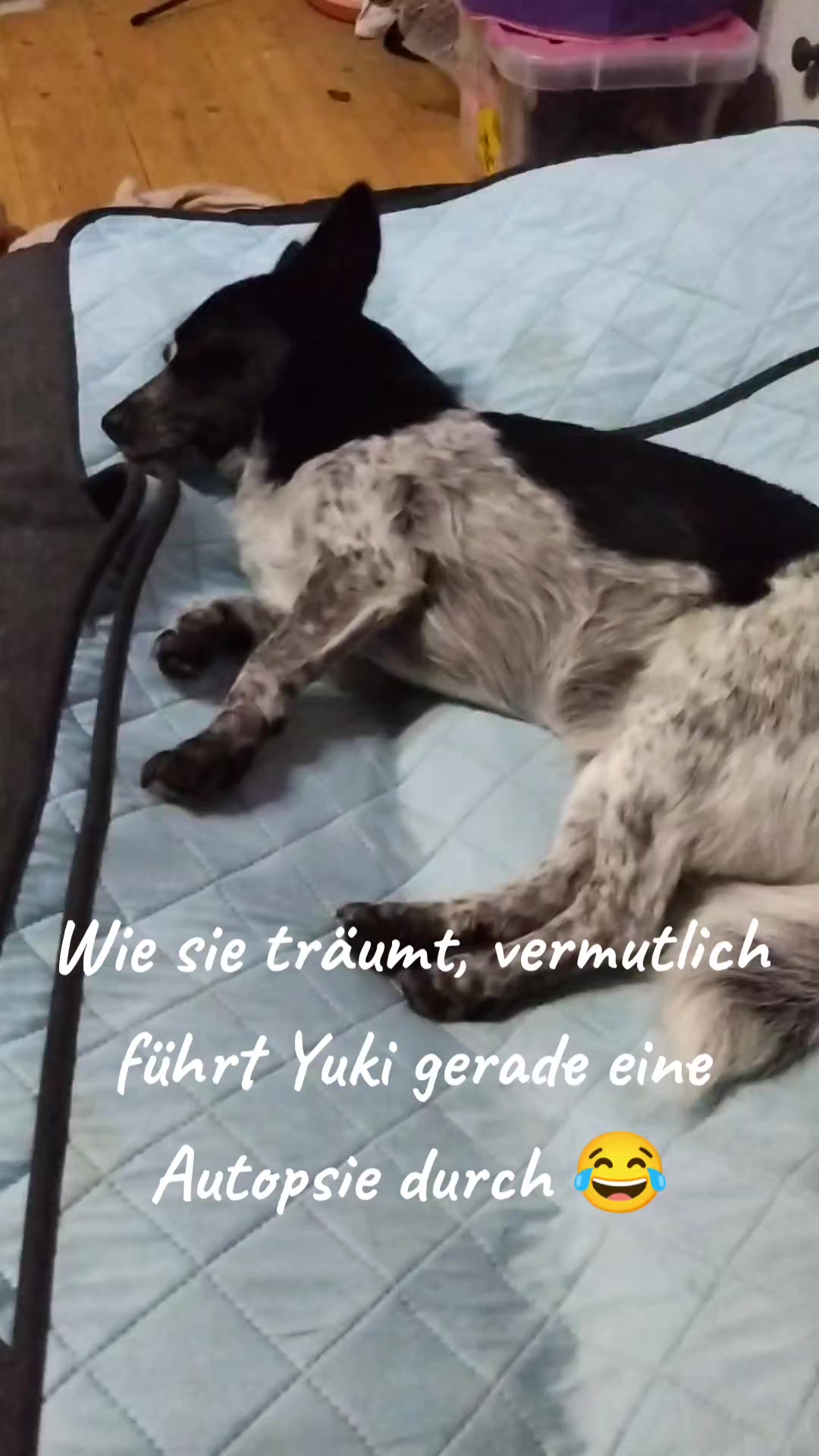 @Katrin Feitl