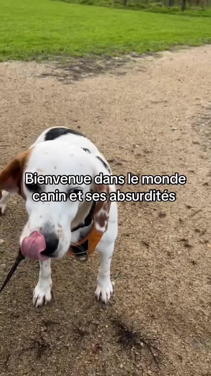 @Manon🌸