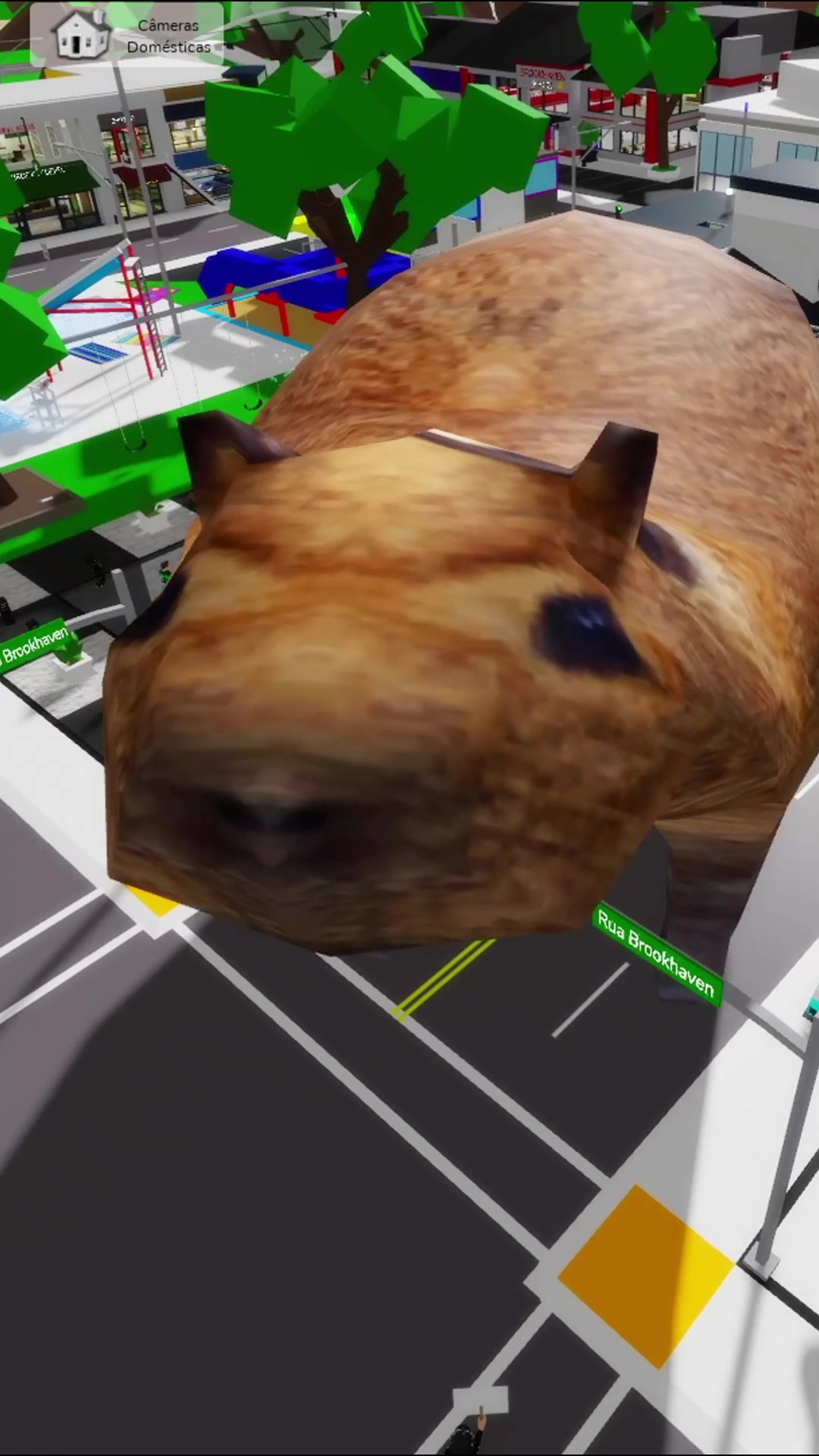 @botomblox