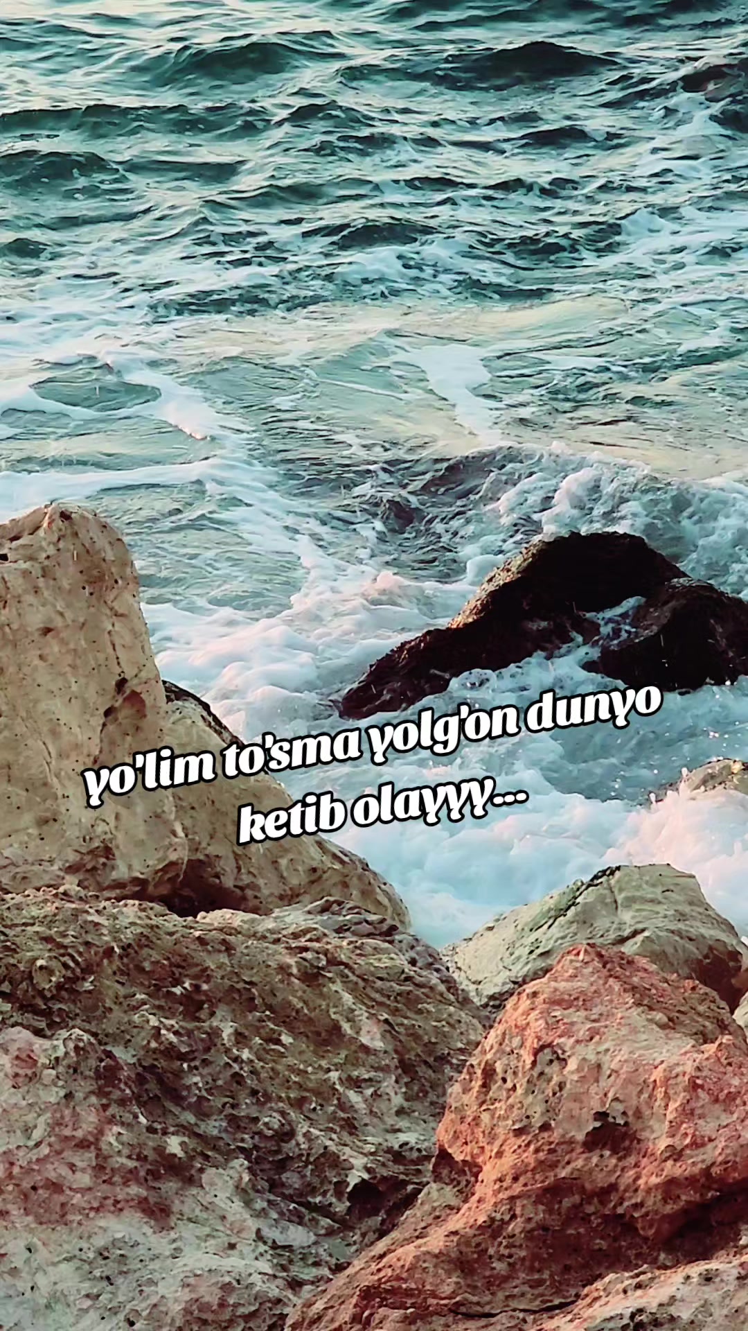 @🕊