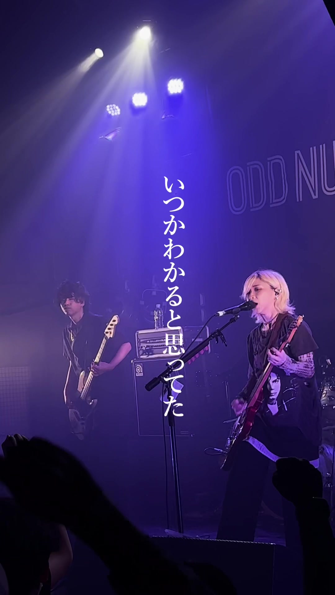 @hakubi_official