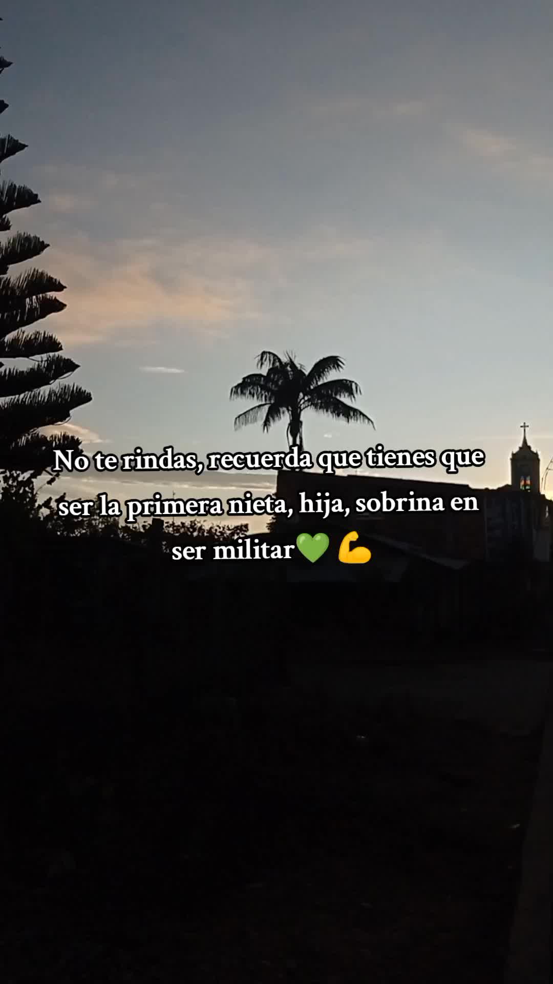 @Lady.