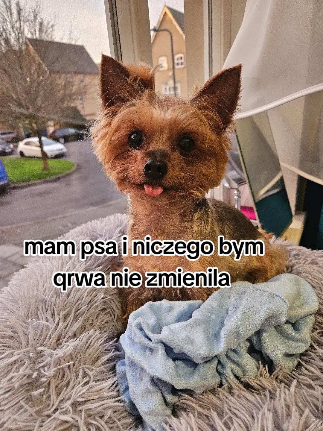 @Ewelina Bednarska