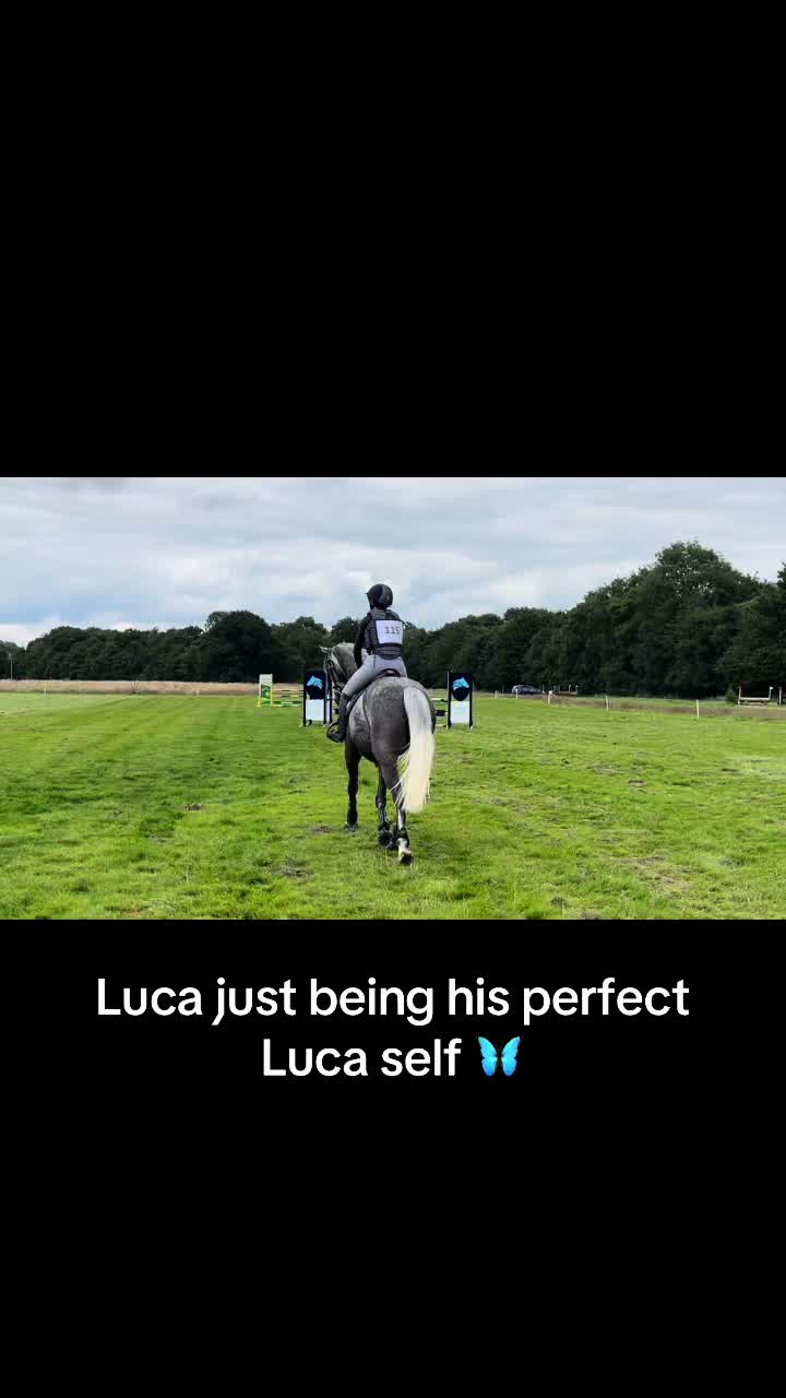 @Lucy Hallam