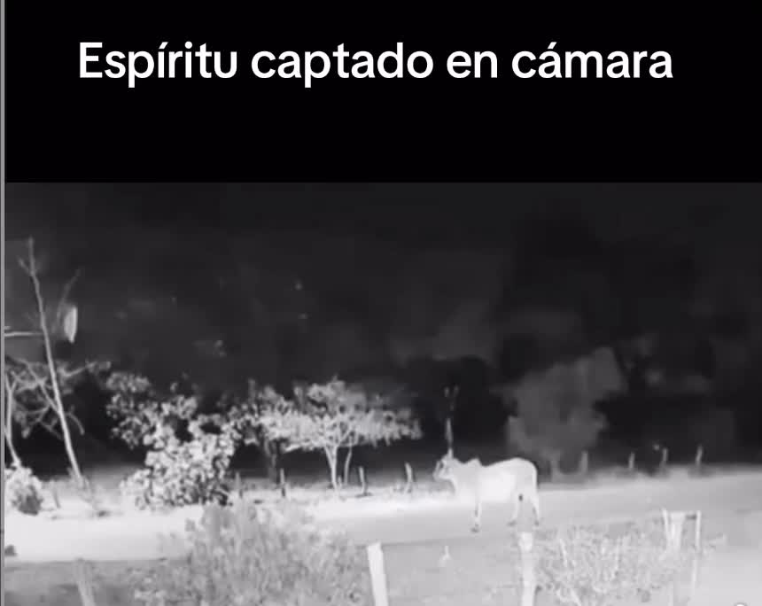 @Mundo oculto