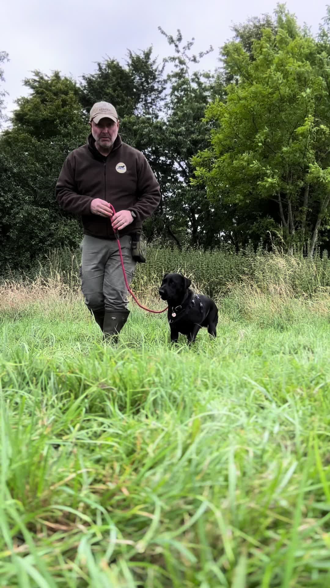 @Acer Gundogs