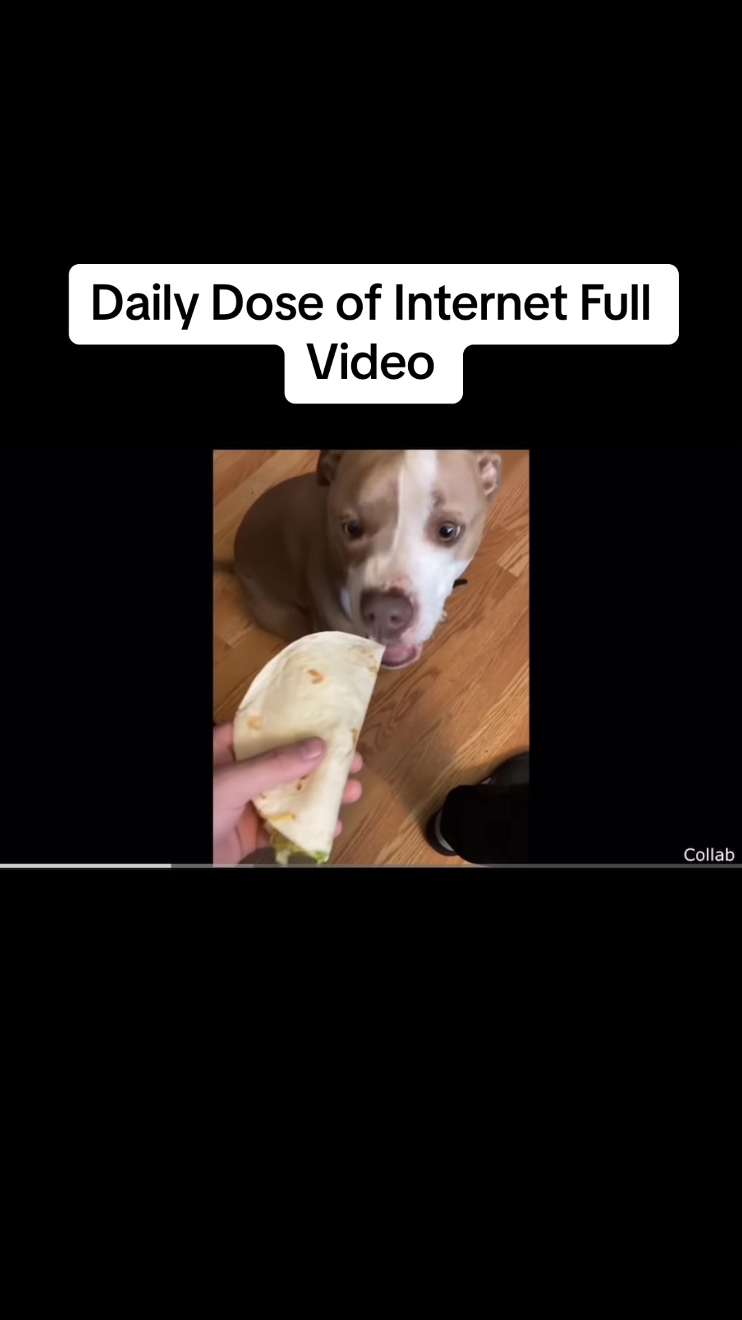 @TheDailyDoseRepost