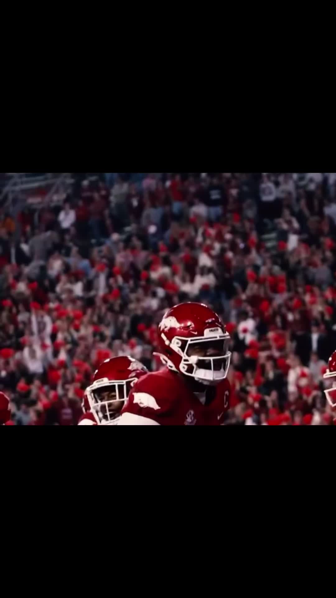 @Checkball 🎰