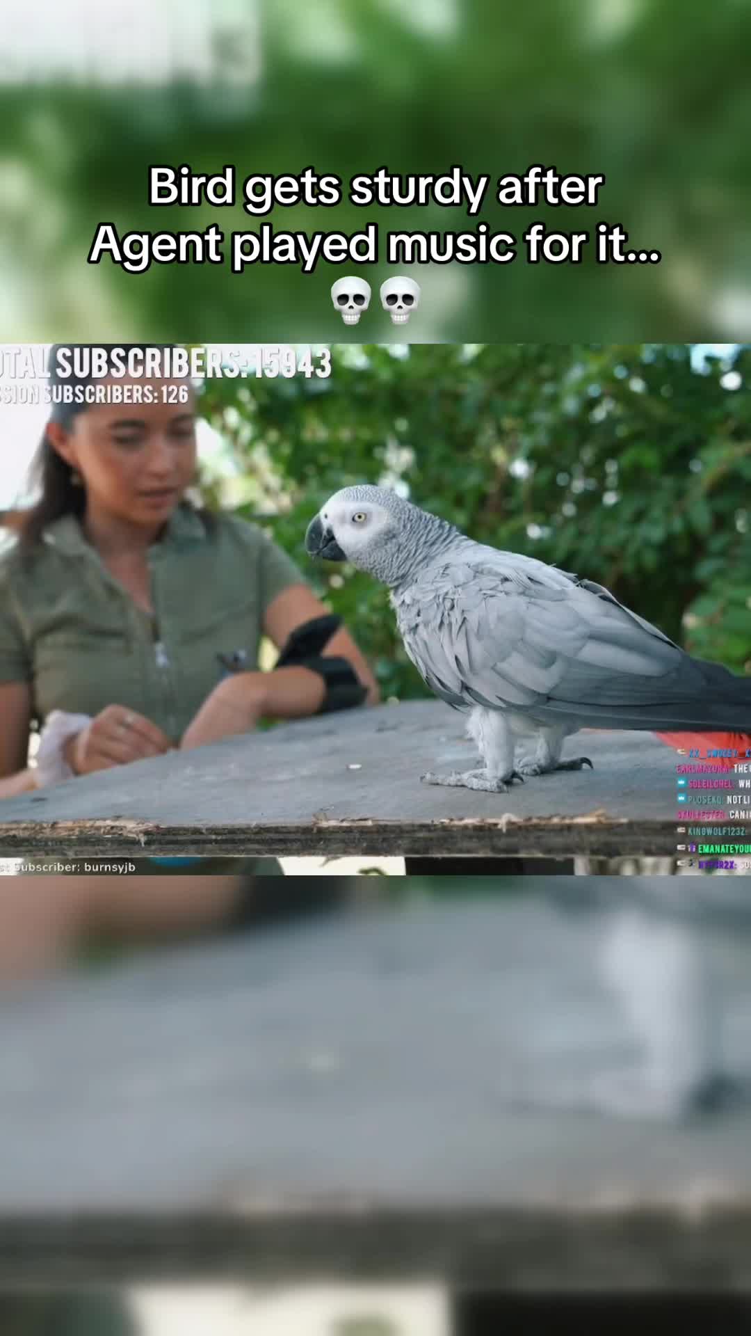 @liveClipsdasit