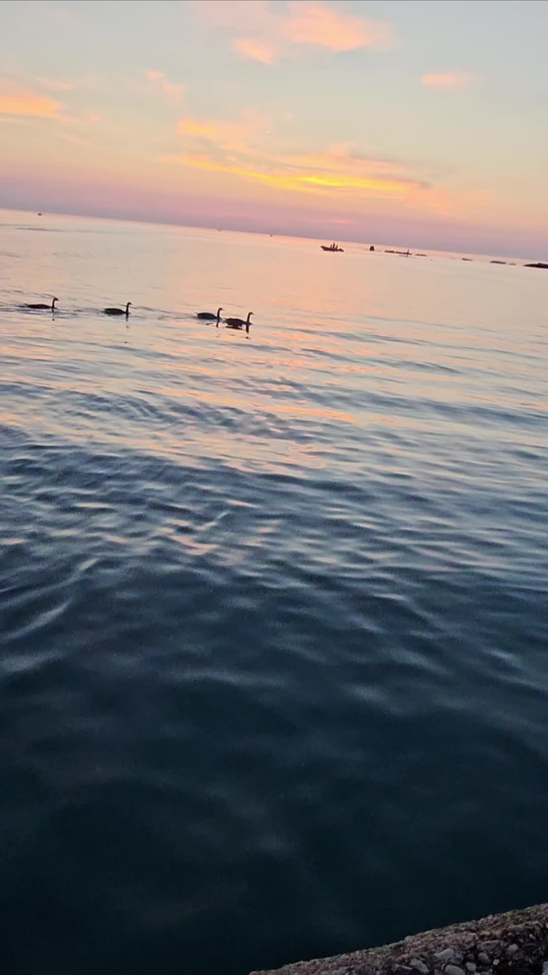 @&hearts;️ Syria 🇸🇾❤️