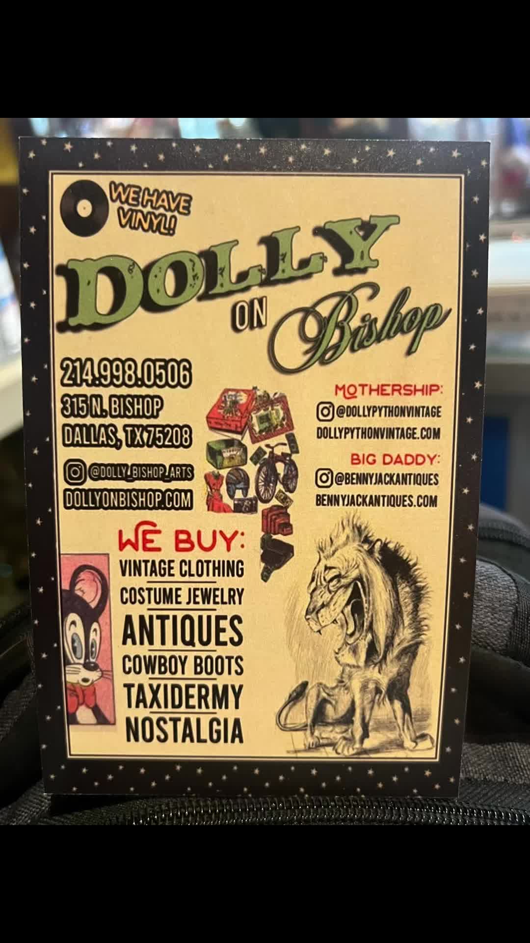 @Dolly Python 🐍