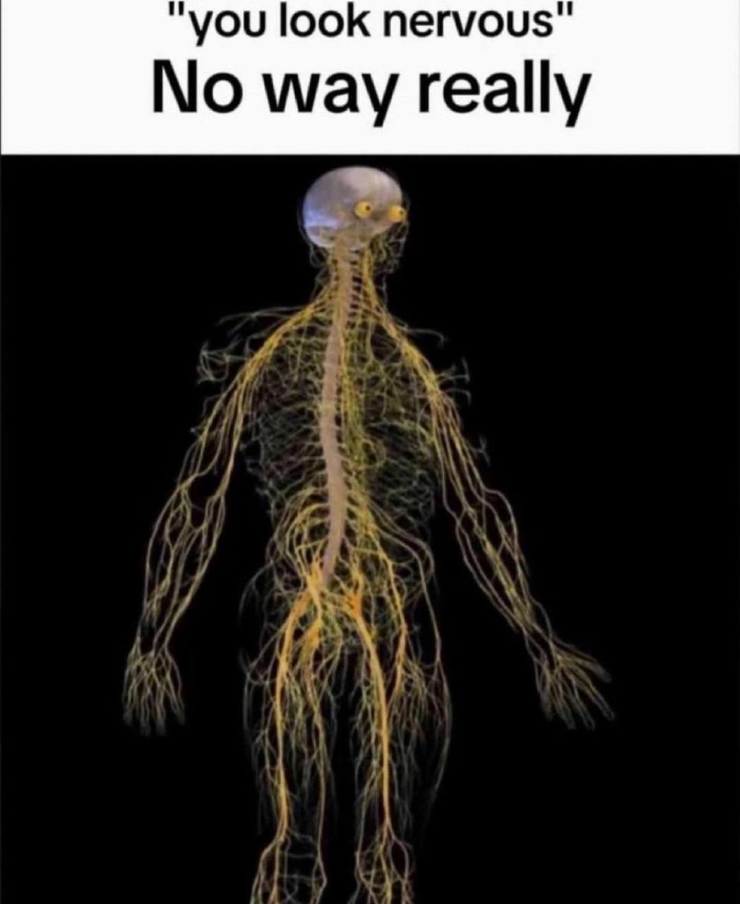 @BrandonXV