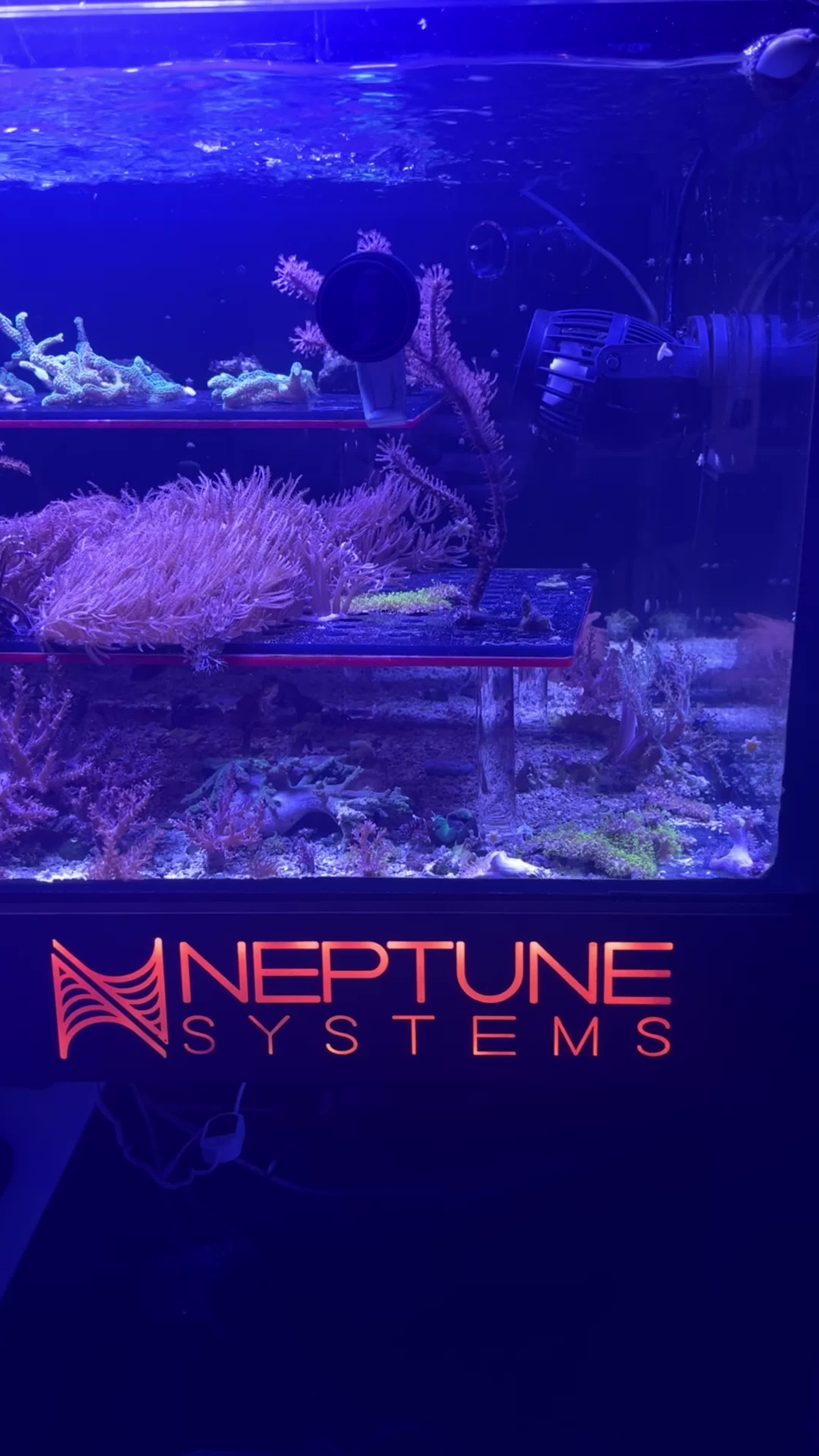 @aquarium_maintenance