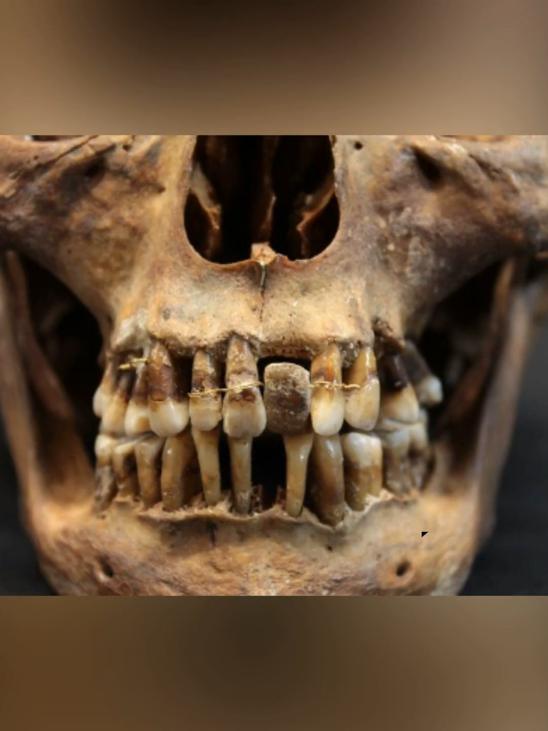 @archaeodiscoveries