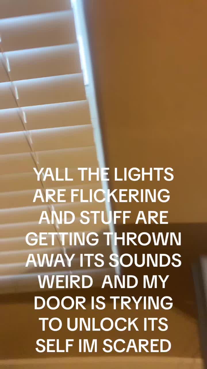 @TacoCat🌮🐈