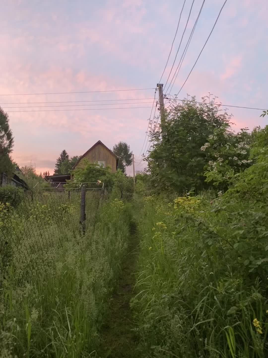@vstddd