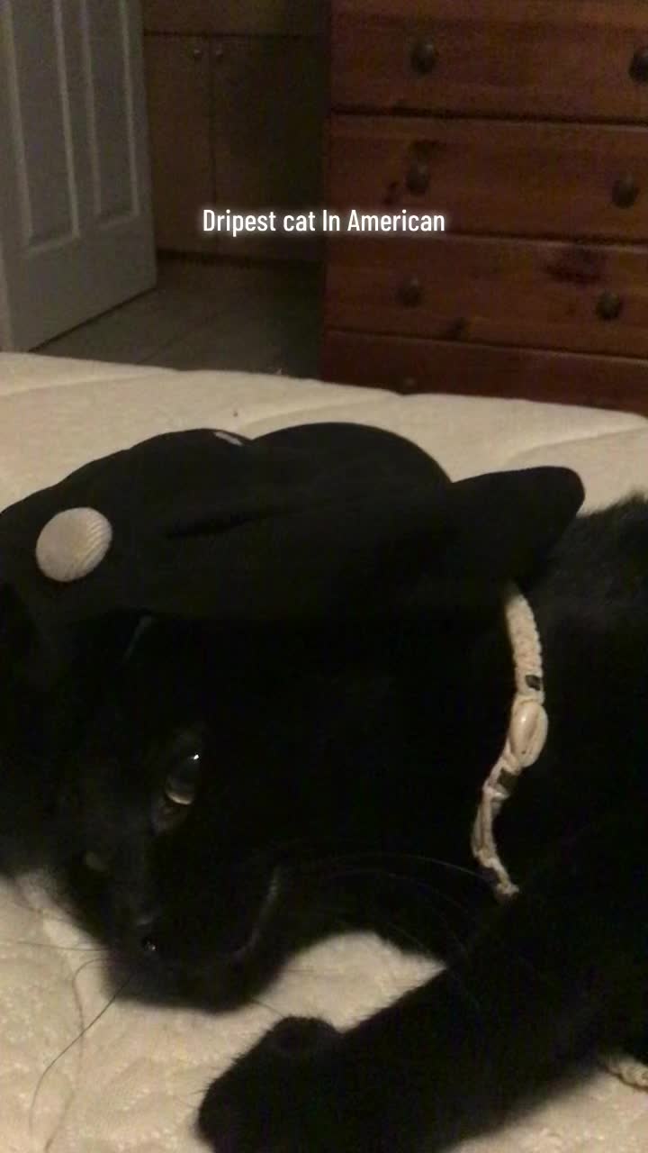 @mightycat83