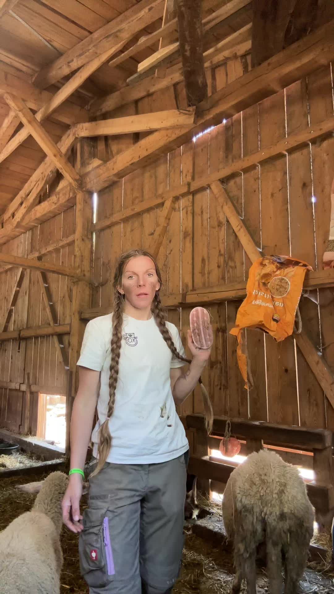 @HafiHorse2