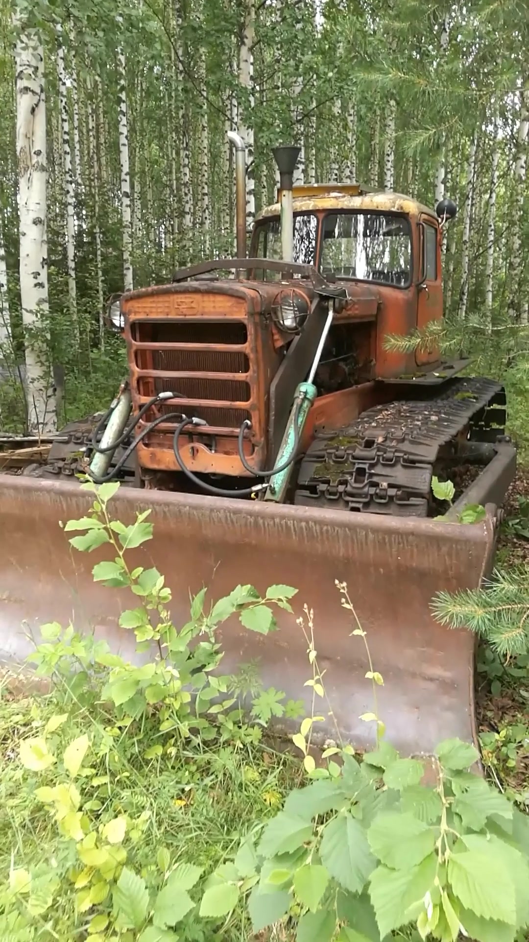 @ForestAndWheels