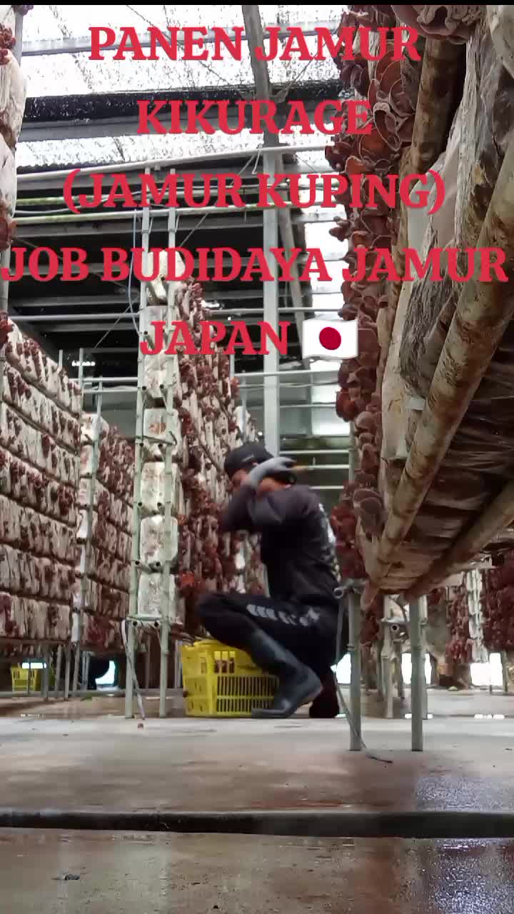@Bupati Nagasaki 🎯