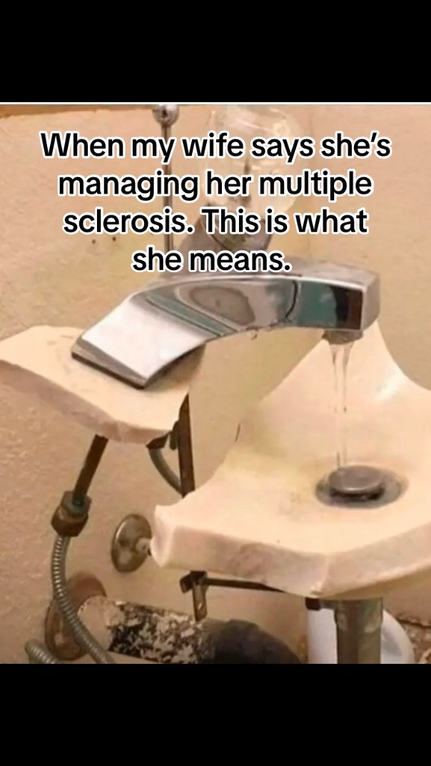 @MS_Husband