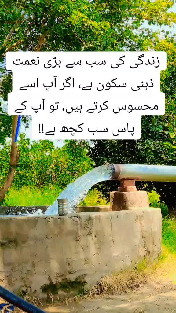 @PURباش🤗💯