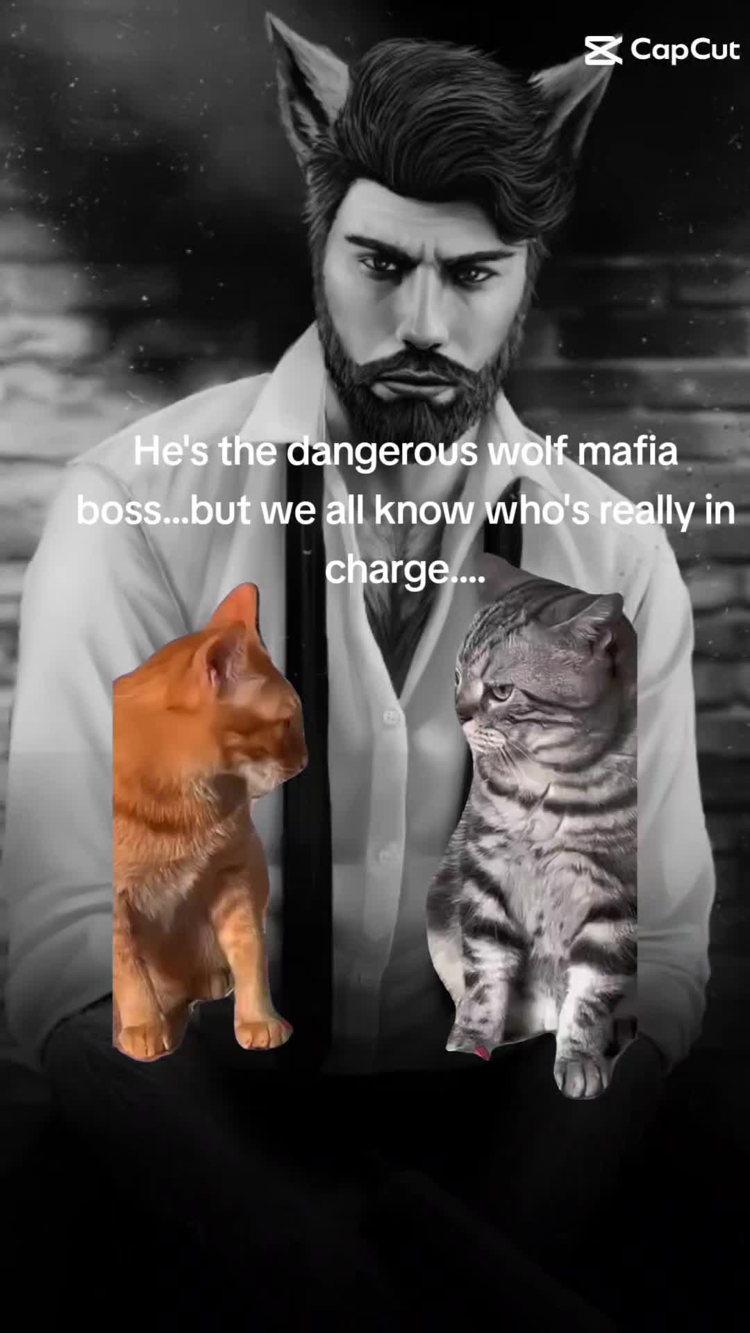 @Author Dakota Cockaday🐖
