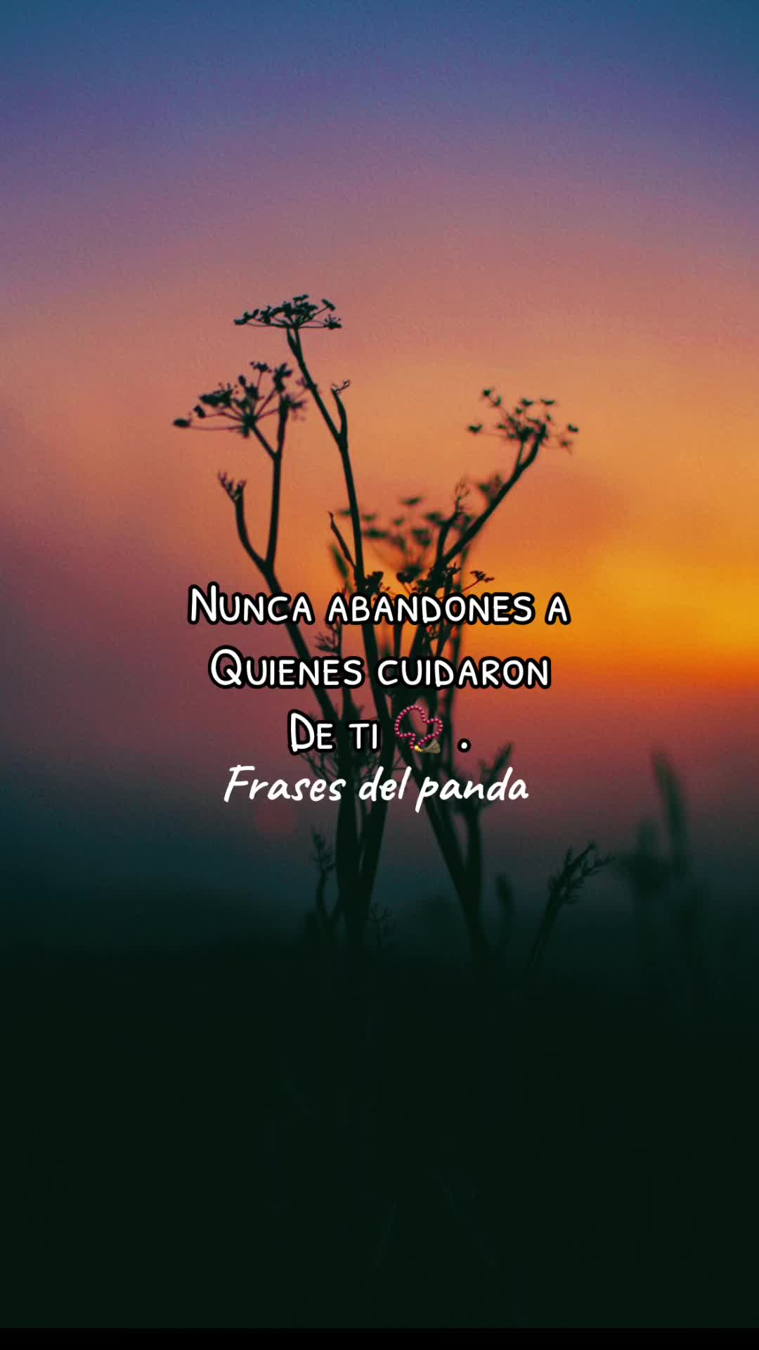 @frases del panda 🥷🏽