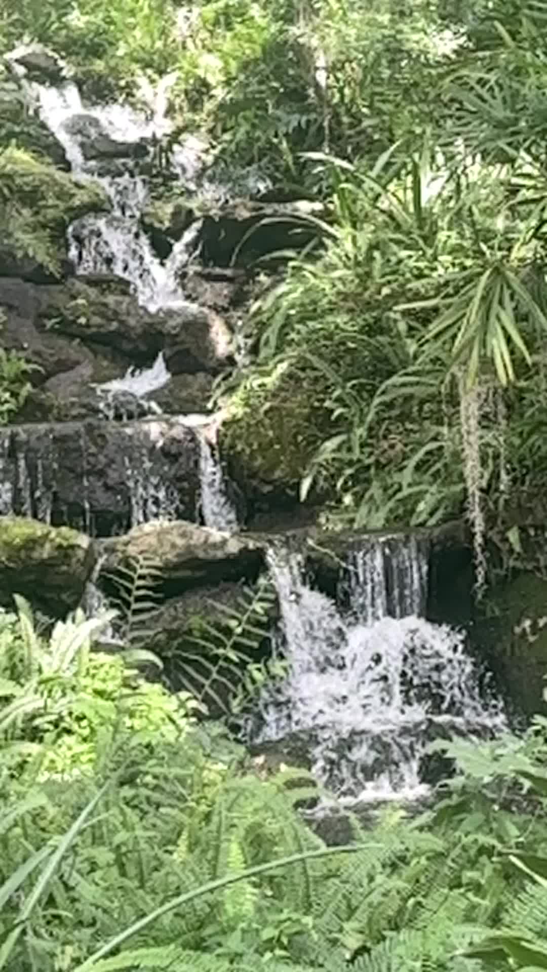 @DrSush