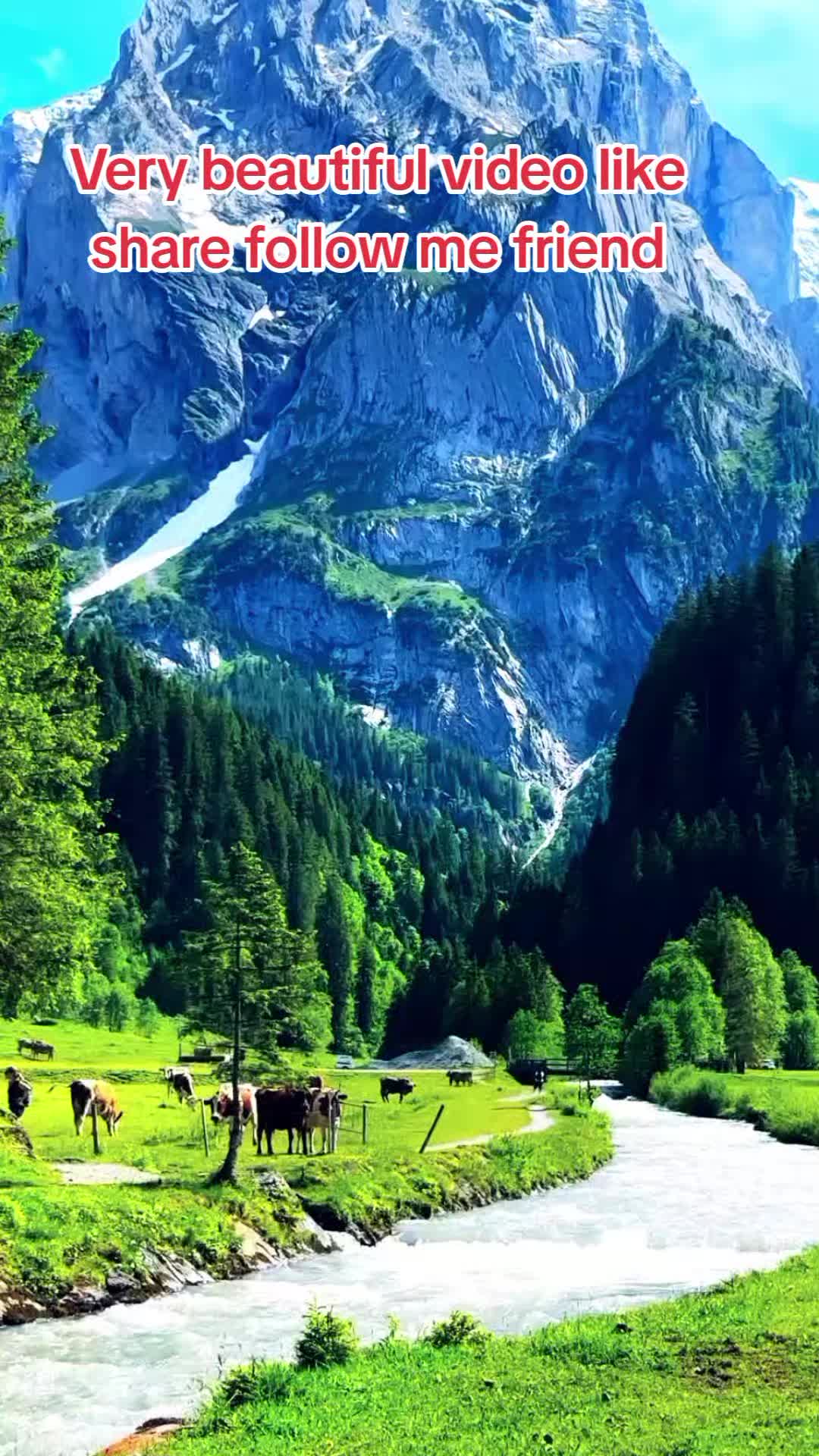 @Arabic6677