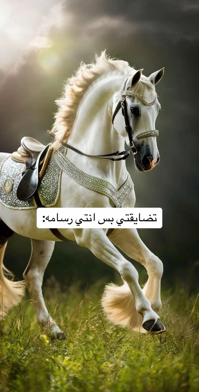 @Aljlylh-DIY-