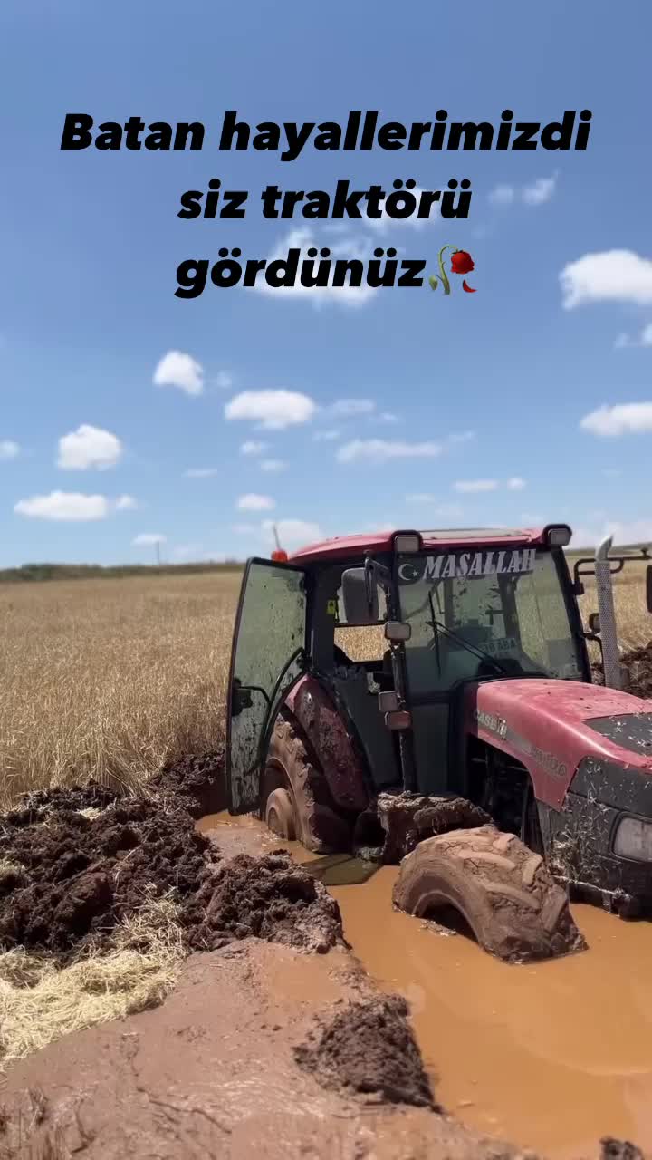 @Orbay Tuluk