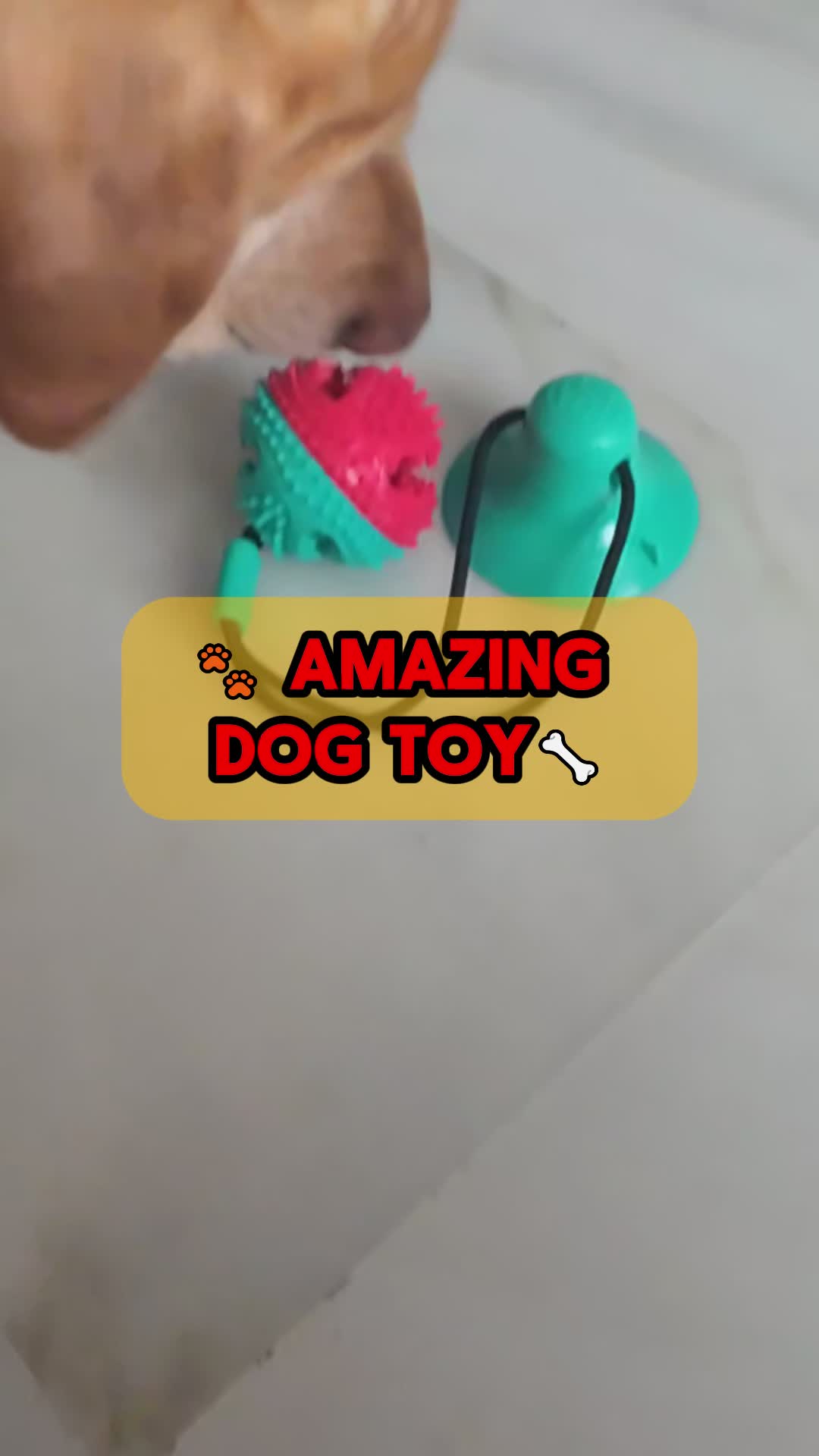 @VIP PET ORG