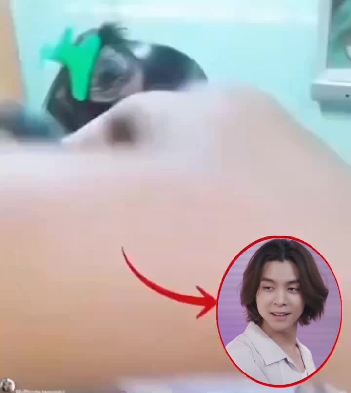 @nuonuo