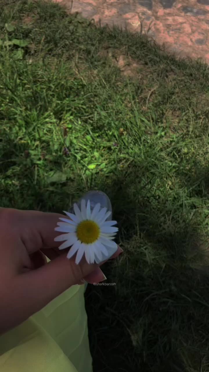 @𝒮𝑒𝓎𝒾𝒹𝑜𝓋𝒶🪽