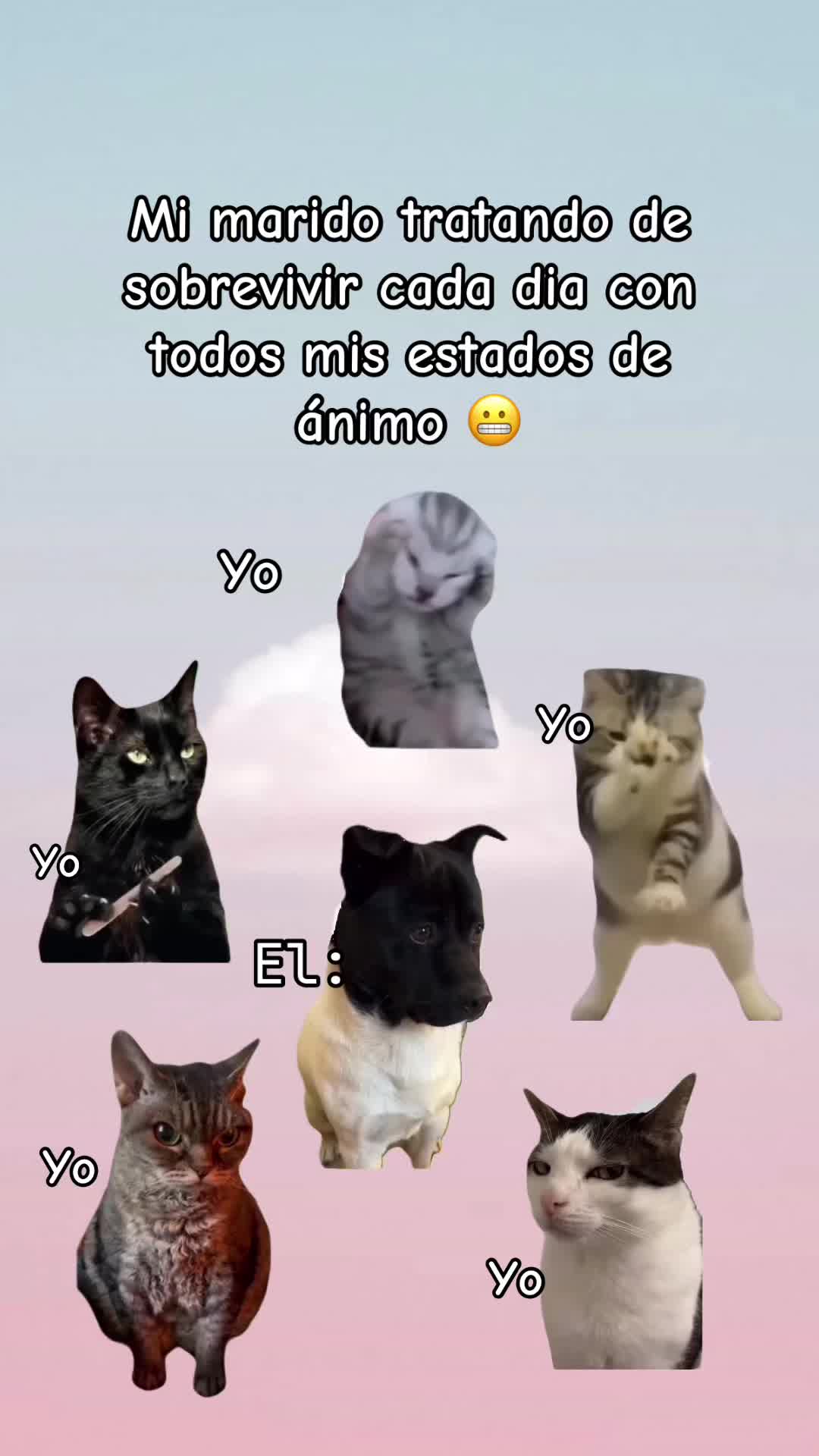 @Erika🪻