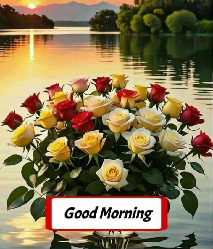 @Pradip Zingare