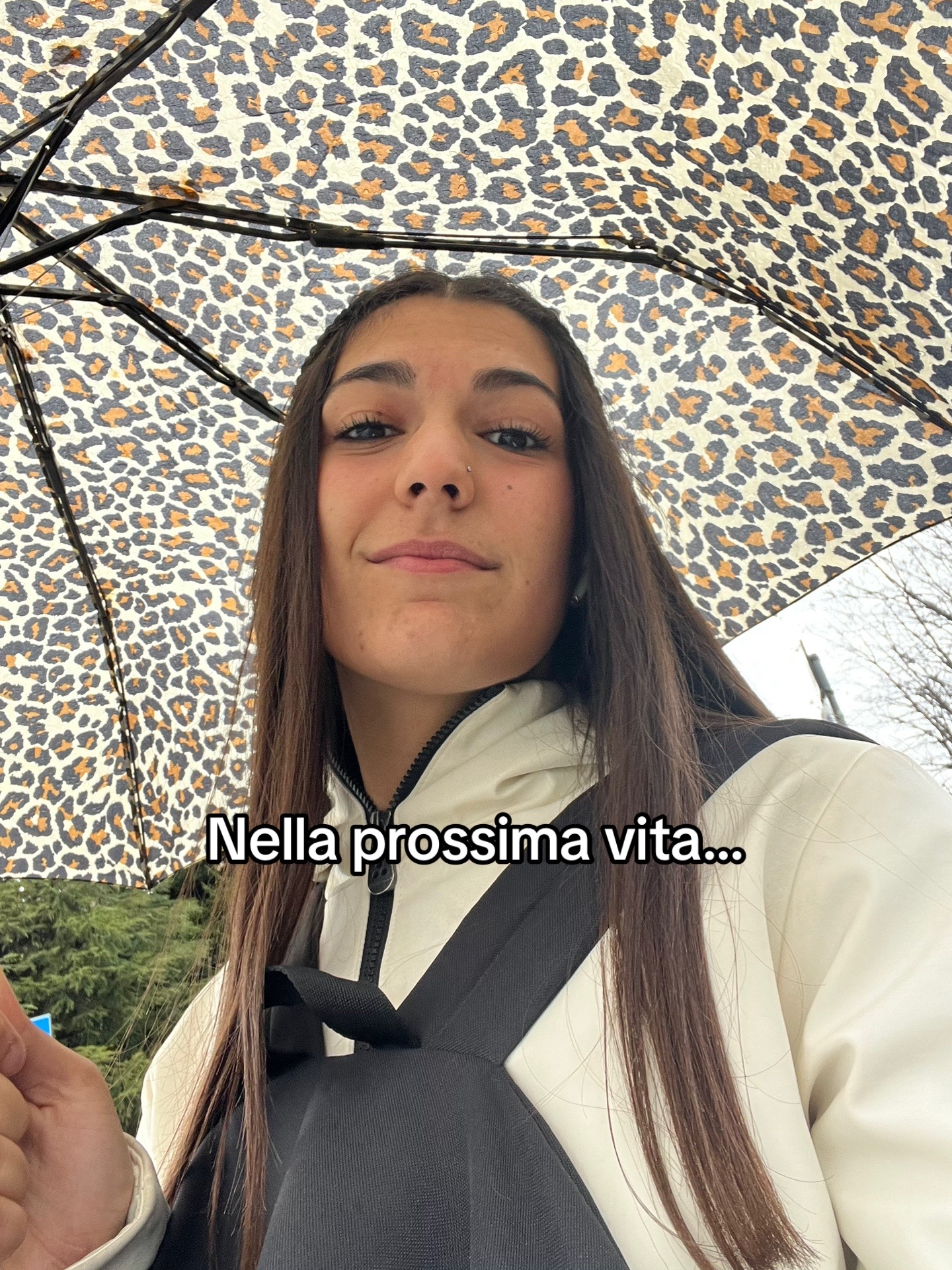 @asia.saggese
