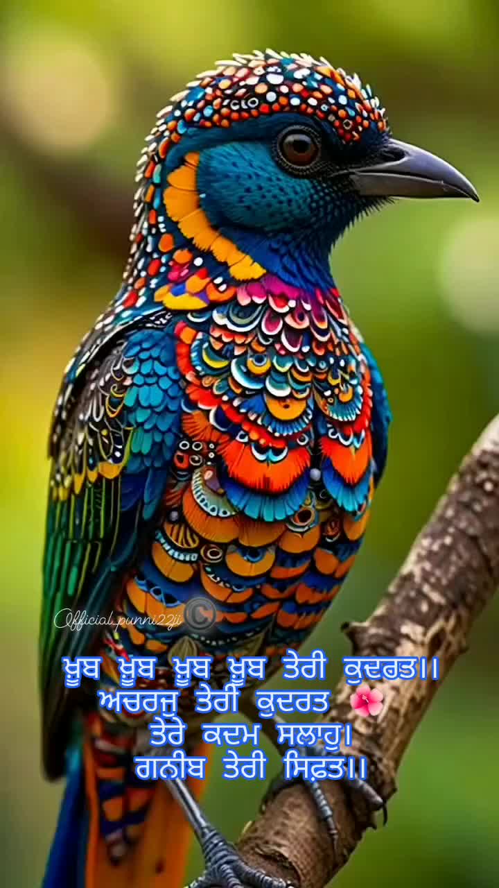 @Baljinder Kaur