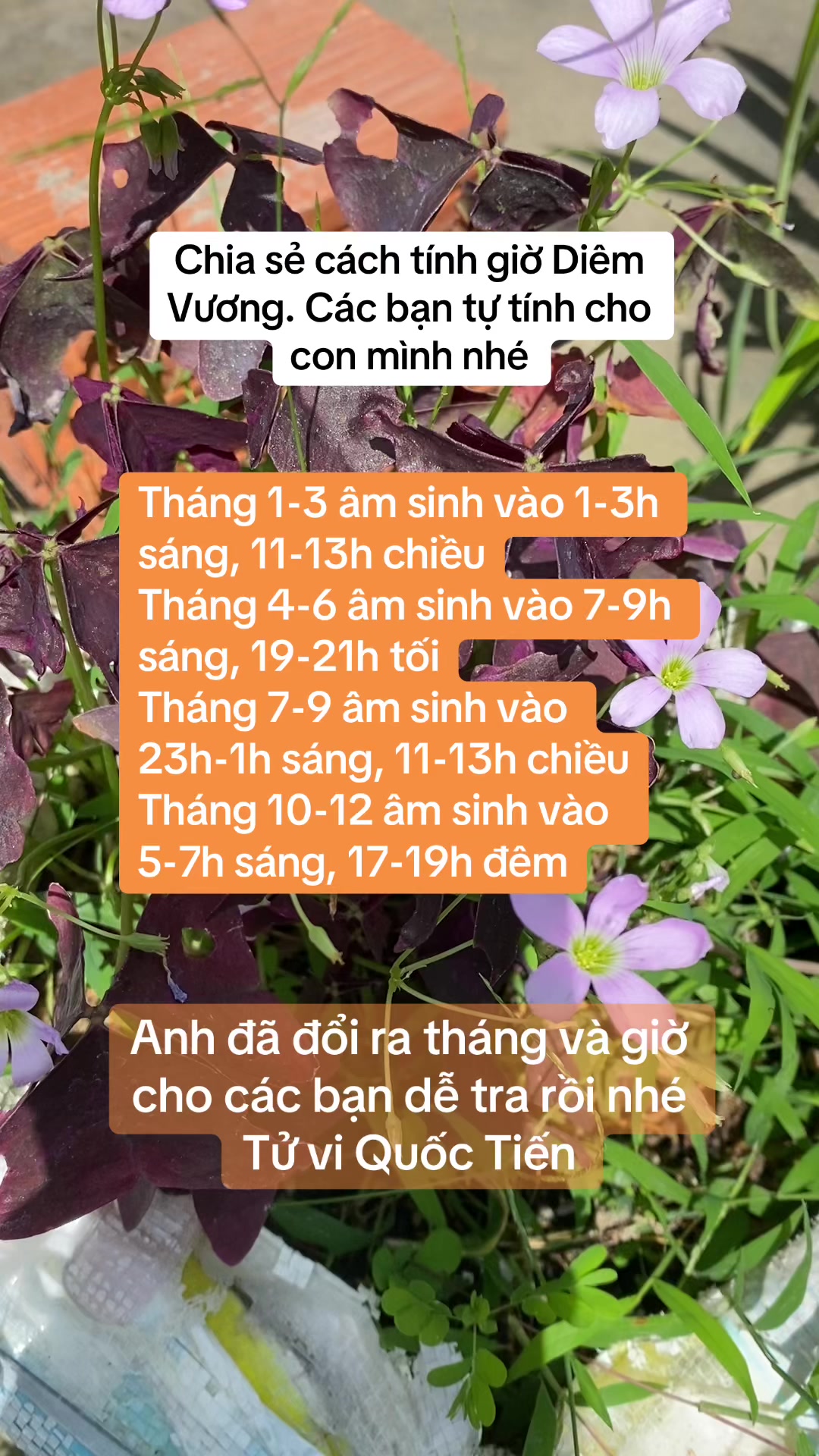 @Qu&ocirc;́c Ti&ecirc;́n ✅
