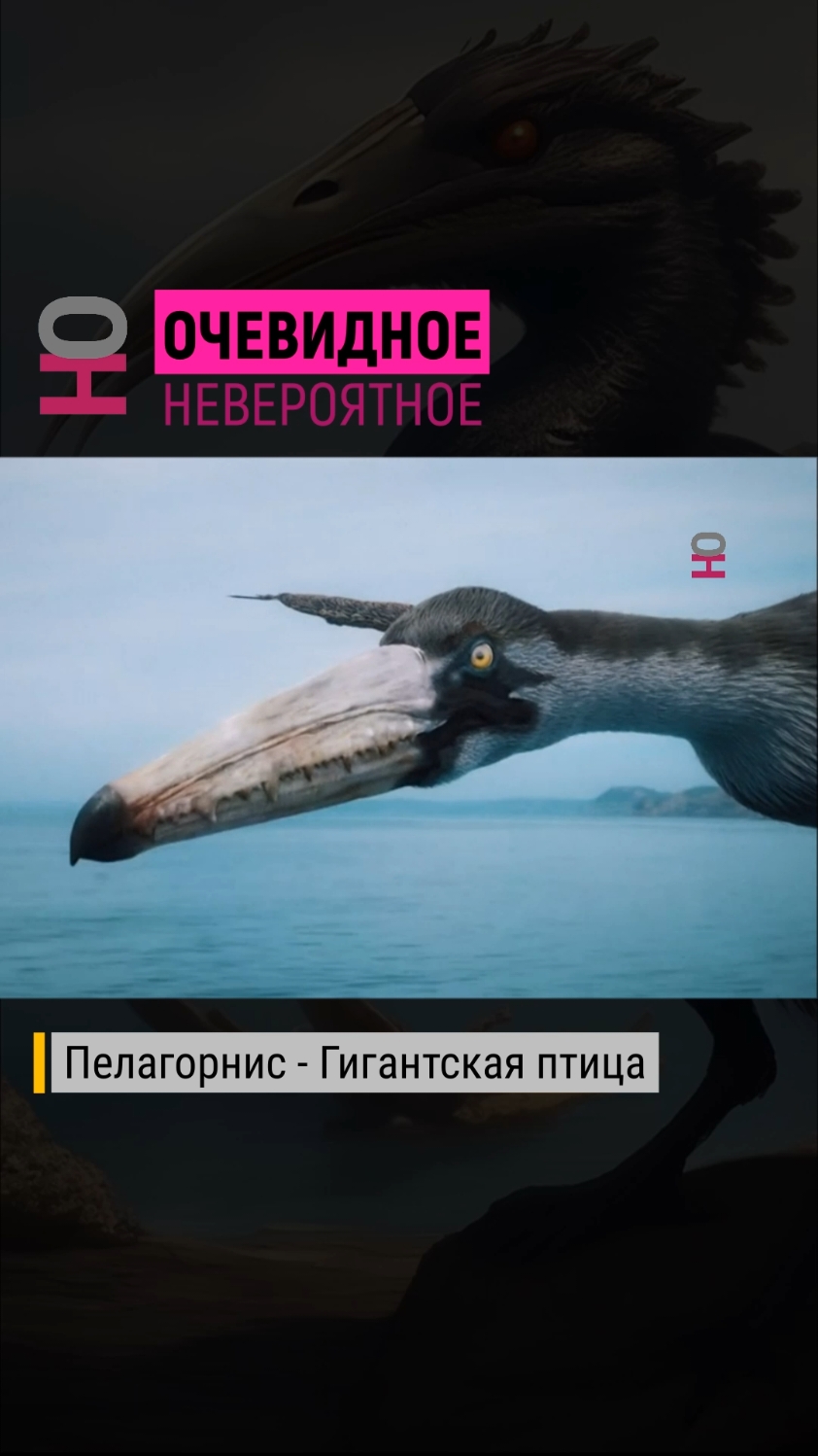 @Очевидное | Невероятное